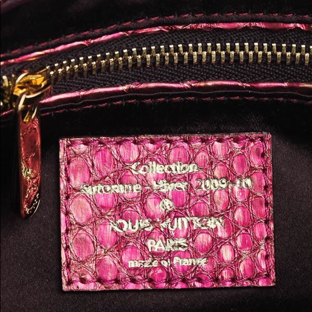 LOUIS VUITTON Limited Edition Brocade Calliope Bag - Picture 7 of 9